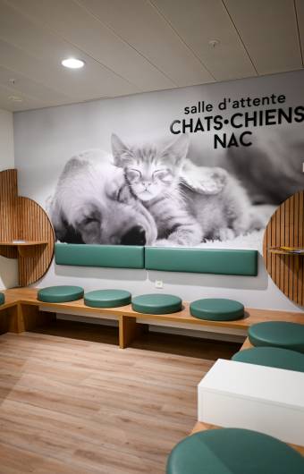 Médecine et chirurgie des NAC pour vos animaux à la clinique vétérinaire de Vétélys