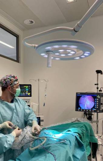 Chirurgie mini invasive pour animaux à Geneve Vernier chez Vétélys