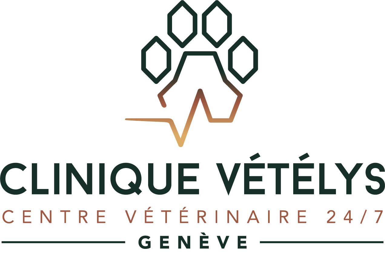 Clinique Vétélys : Centre Vétérinaire 24/7 Genève
