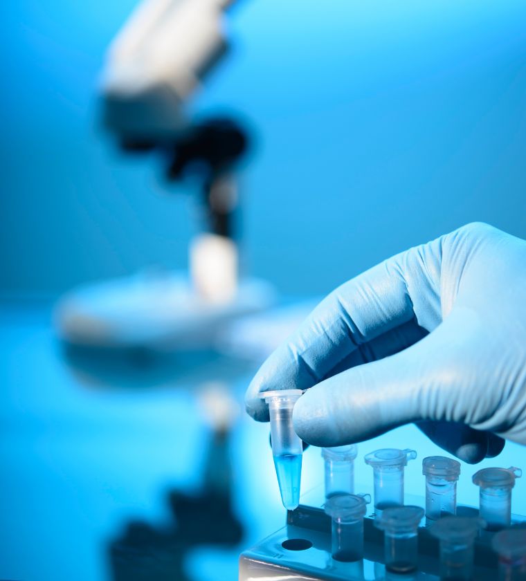 Focus on a laboratory analysis at the Vétélys clinic in Geneva