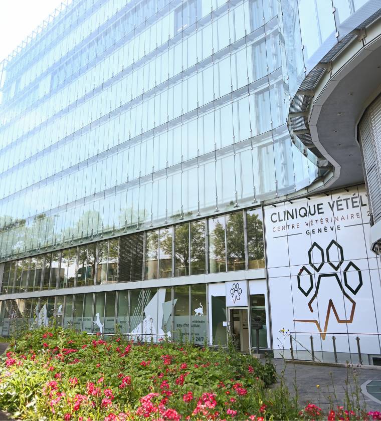 Porte du service oncolgoie et des vétérinaires de la clinique Vétélys à Genève