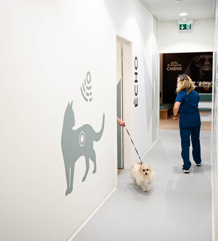 Service d' imagerie médicale des vétérinaires de la clinique Vétélys à Genève