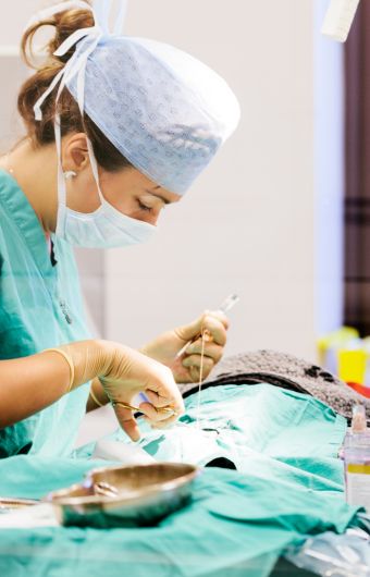 Chirurgie des tissus mous et orthopédie pour vos animaux à la clinique vétérinaire de Vétélys Genève
